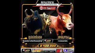 ถ่ายทอดสดวัวชนสนามชนโคนาทราย วันที่ 18 กุมภาพันธ์ 2566 #ดูวัวชน #วัวชนเงินล้าน #วัวชนแดนใต้