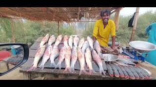 Historical Fish 🐠 and Tour of Guddu barrage #viral #viralvideo