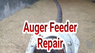 Auger feeder pakan ayam Repair