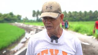 ONGOING REHABILITATION OF CANALS WITHIN THE TAPSIA IRRIGATION SYSTEM in Barangay Tobog, Oas, Albay