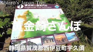 静岡さんぽ 黄金崎さんぽ【静岡県賀茂郡西伊豆町宇久須】2022/12 海岸さんぽ