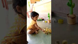 🥰 হাঁসের বাচ্চা সঙ্গে খেলা করছে|#trendingshorts #playing#shorts#duck🙋