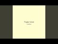 Fragile Velvet