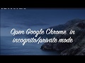 How to open Google Chrome browser window in incognito/private mode using python selenium WebDriver?