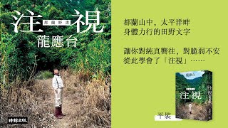 龍應台《注視──都蘭野書》（平裝）生命為什麼美麗？因為注視。