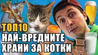 Топ 10 Най-вредните храни за котки