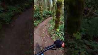 PNW trails are the best!