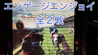 【スターホース２】　ー 290頭目ー　エンゲージミラクル　全2戦　※289頭目のエンゲージワックスと、287頭目のエンゲージミラクルとの次世代馬です。