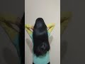 😍wow😍beautiful long hair shorts short youtubeshorts yearofyou ytshorts