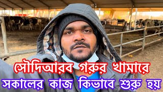 সৌদিআরব গরুর খামারে সকালের কাজ কিভাবে শুরু হয় 🐄🐄 || Saudiarab Cow Farming 🐄🐄