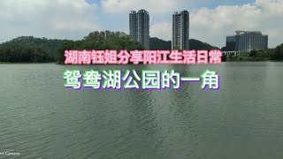 鸳鸯湖公园的一角 风景如画 美不胜收