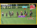 競馬hkjc 5月大事回顧 蘇兆輝、波健士釘牌巴西幫散檔！潘頓力追莫雷拉單季頭馬紀錄 遮打盃放頭浪漫勇士慘成大賽三亞王！艾道拿、黃智弘頂騎師荒 競賽小組放生潘一哥？cc中文字幕 賽馬factcheck