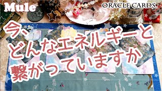 今、どんなエネルギーと繋がってますか♪オラクルカード