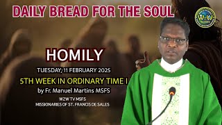 HOMILY | 11 FEBRUARY 2025 | 5TH WEEK IN ORDINARY TIME I by Fr  Manuel MSFS #homily