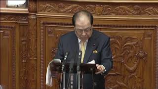 2019年2月1日参議院 片山虎之助共同代表 代表質問