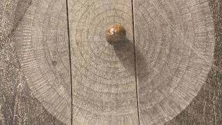 Stone Table, Lithophone