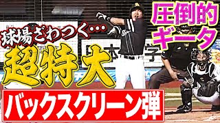 【会心のギータ】柳田悠岐『超特大・衝撃バックスクリーン弾』に球場ざわつく