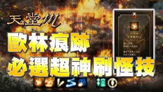 【天堂M】手殘黨救星「一招搞定」！適合後期關卡的全方位技能！有了這招《歐林痕跡》輕鬆通關！((CC字幕))｜DingDing