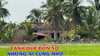 Khám Phá Cảnh Đẹp Vùng Quê Xã Long Khánh Huyện Bến Cầu Tỉnh Tây Ninh