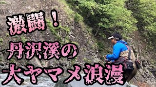 【激闘！】丹沢峪の大ヤマメ浪漫