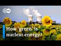Is nuclear energy a viable option against climate change? | DW News