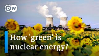 Is nuclear energy a viable option against climate change? | DW News