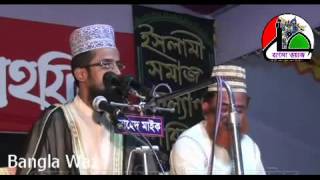 Maulana Abdullah Al Amin অবিকল আল্লামা সাঈদী সাহেবের কণ্ঠে