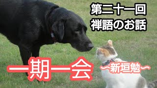 生き抜く力をつける禅語のお話「一期一会」新垣勉