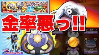 ぷにぷにZZラストティーダイン超アップガシャの金率が最悪すぎる…【妖怪ウォッチぷにぷに】妖怪学園Yイベント マゼラボルト最終決戦 Yo-kai Watch 微課金Games