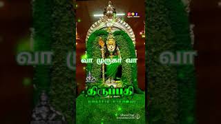 🪔சனிக்கிழமை பூஜையில் வா முருகா வா சனி தோஷம் தீரனும் ஐயா ⚜️🦚🙏