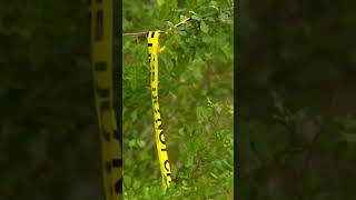 Deputies find five bodies in one day in Indian River County