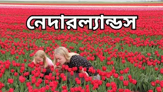 নেদারল্যান্ডস || Netherlands || ডকুমেন্টারি || Documentary || শিক্ষার সৌন্দর্য ||