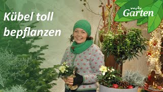 Blumenkübel für draußen weihnachtlich bepflanzen | MDR Garten