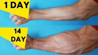 3 Best Exercises For Forearms | Home