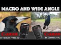 Canon 1DX Mark II Bird Photography with a MACRO & WIDE angle lens