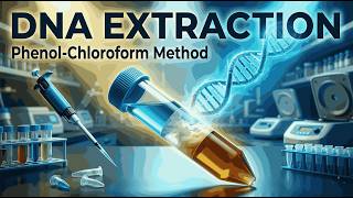Phenol Chloroform Method of DNA Extraction | Principle, Protocol, Reagents & Troubleshooting