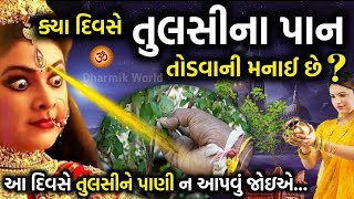 કયા દિવસે તુલસીજીના પાન ન તોડવા જોઈએ? On which day should Tulsiji leaves not be plucked?