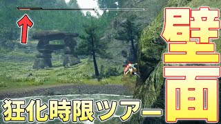 狂化のスリップダメージで力尽きるまでに壁だけを走って大社跡を一周したい【モンスターハンターライズサンブレイク実況】