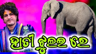 ହାତୀ ଝୁଲଇ ରେ //hatee jhulai re //ajit dash parayana khuntapali