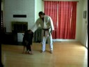 basic judo techniques how to stretch for judo training