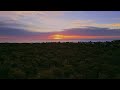 bold park sunset western australia 🇦🇺 4k drone footage