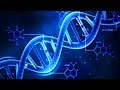 DNA - What is DNA? - Basics of DNA