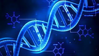 DNA - What is DNA? - Basics of DNA
