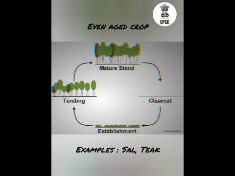 Clear felling system – Silvicultural system – UPSC IFoS