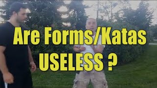 ARE WING CHUN FORMS USELESS?? PART 1  - Adam Chan -Kung Fu Report