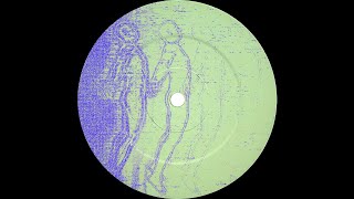 Computer Data - Ego