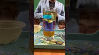 Magic of density #science #experiment #viralreels #viralvideos #youtubeshorts #education #chemistry