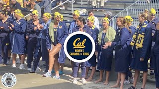 Catch Up with Cal Women's Swimming with Rachel Klinker, Eloise Riley, Ayla Spitz, and Mia Motekaitis