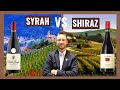 Syrah Vs Shiraz ... French Syrah VS Australian Shiraz!