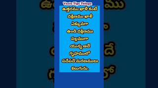 ఇలా వుంటే సరి చేసుకోండి | వాస్తు జనన మరణాలు #vastutipstelugu #southdhoshas #south effects